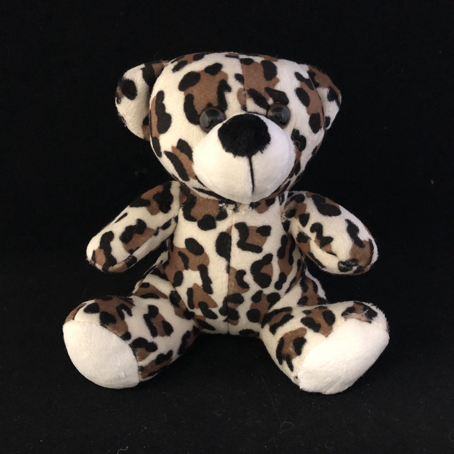 Colorama Bear - 6"