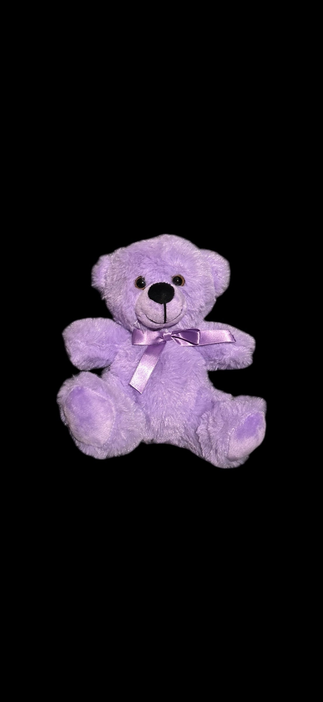 6" Coloroma Bear