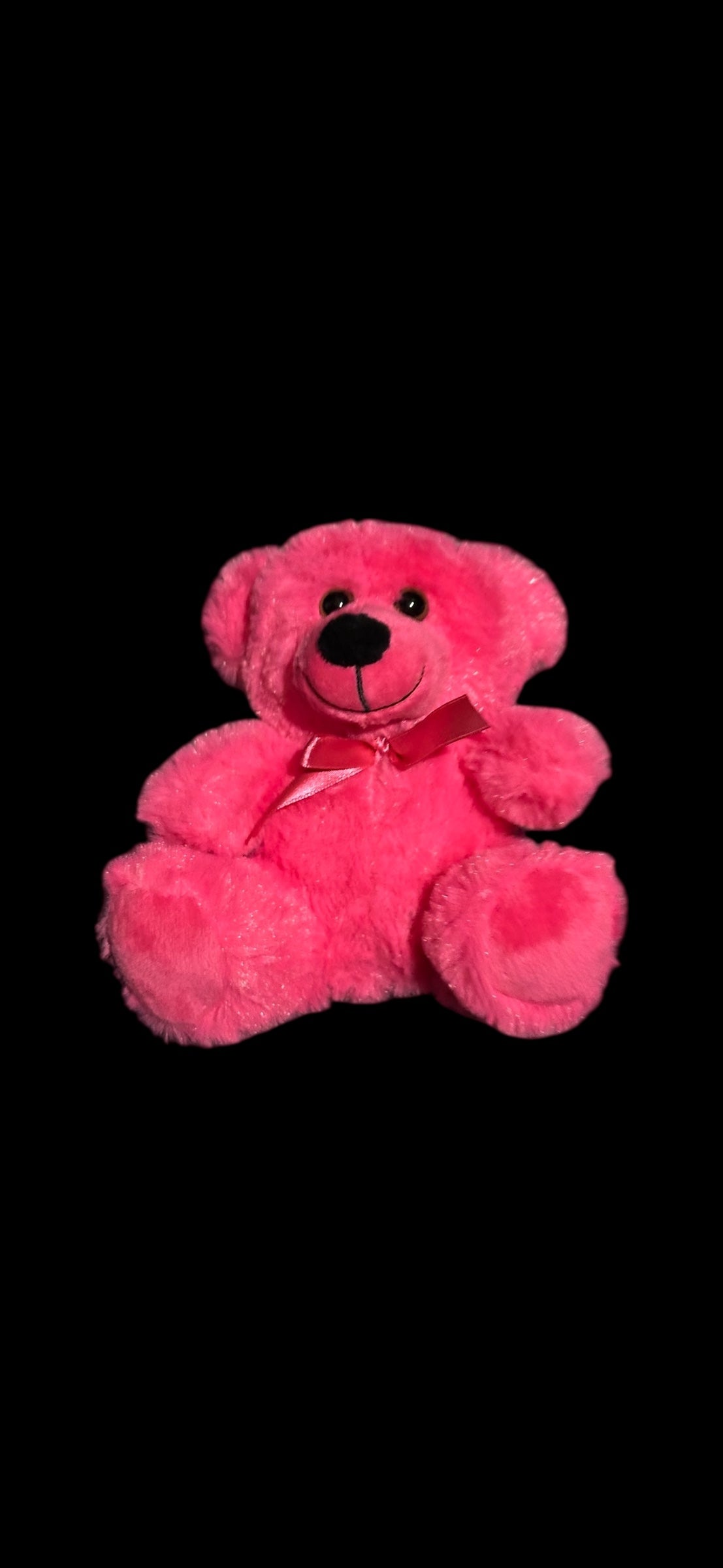 6" Coloroma Bear