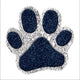 Navy/Silver