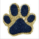 Navy/Gold