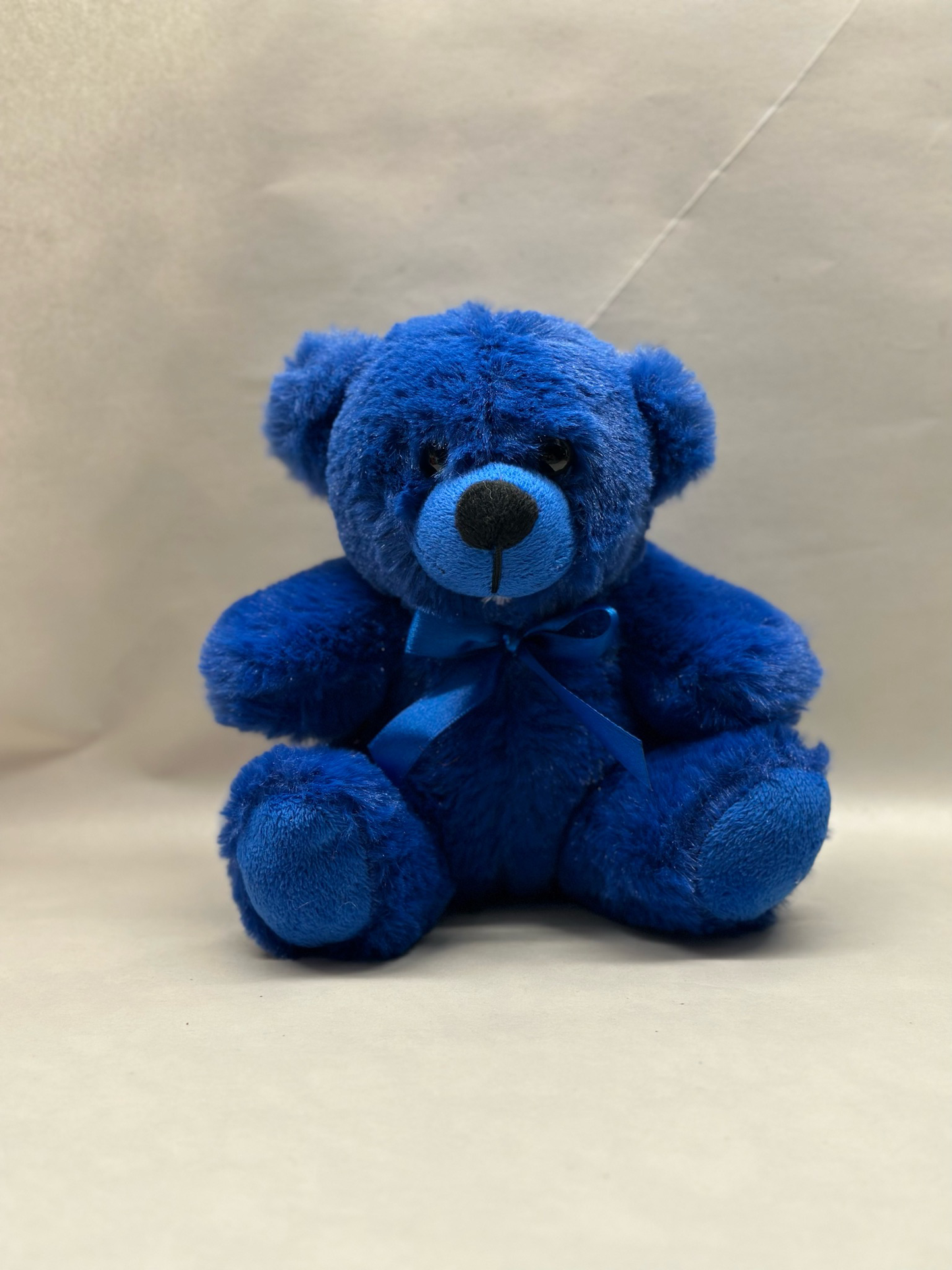 6" Coloroma Bear