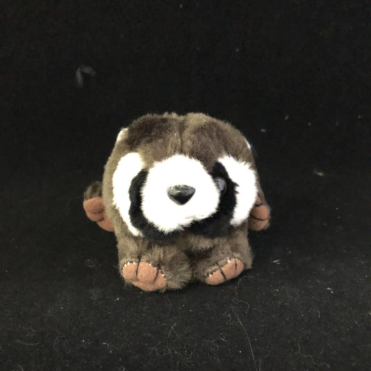 3" Small Beanie Raccoon